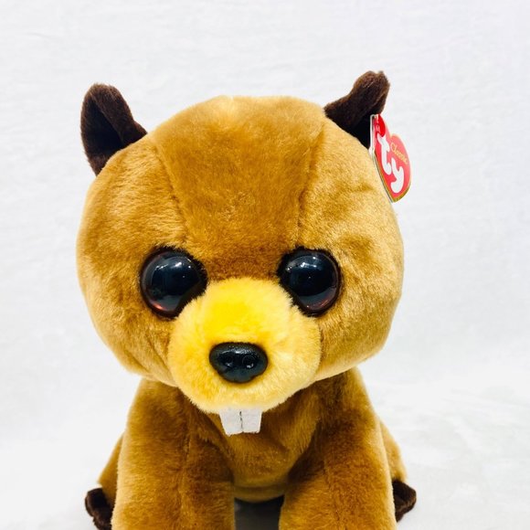 Classic Ty Richie Beaver - VelveTy Super Soft - All Tags - Picture 7 of 12